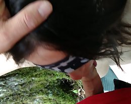 Nopea Motel vitun koira aiheuttaa