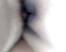 Karvainen ja märkä