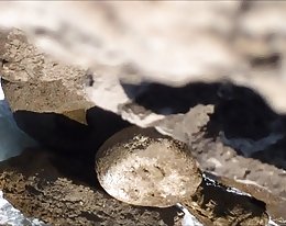 Lain oi söpö slim beurette ja nielaisee cum