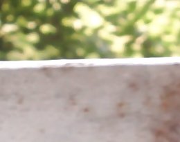 Japanin amatööri asuka