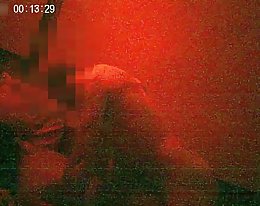 Amanda palmer, ben dover