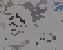 4k hd - exotic4k seksikäs Aasian morgan lee osoittaa itämainen pillua